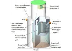 Панда Дана 3